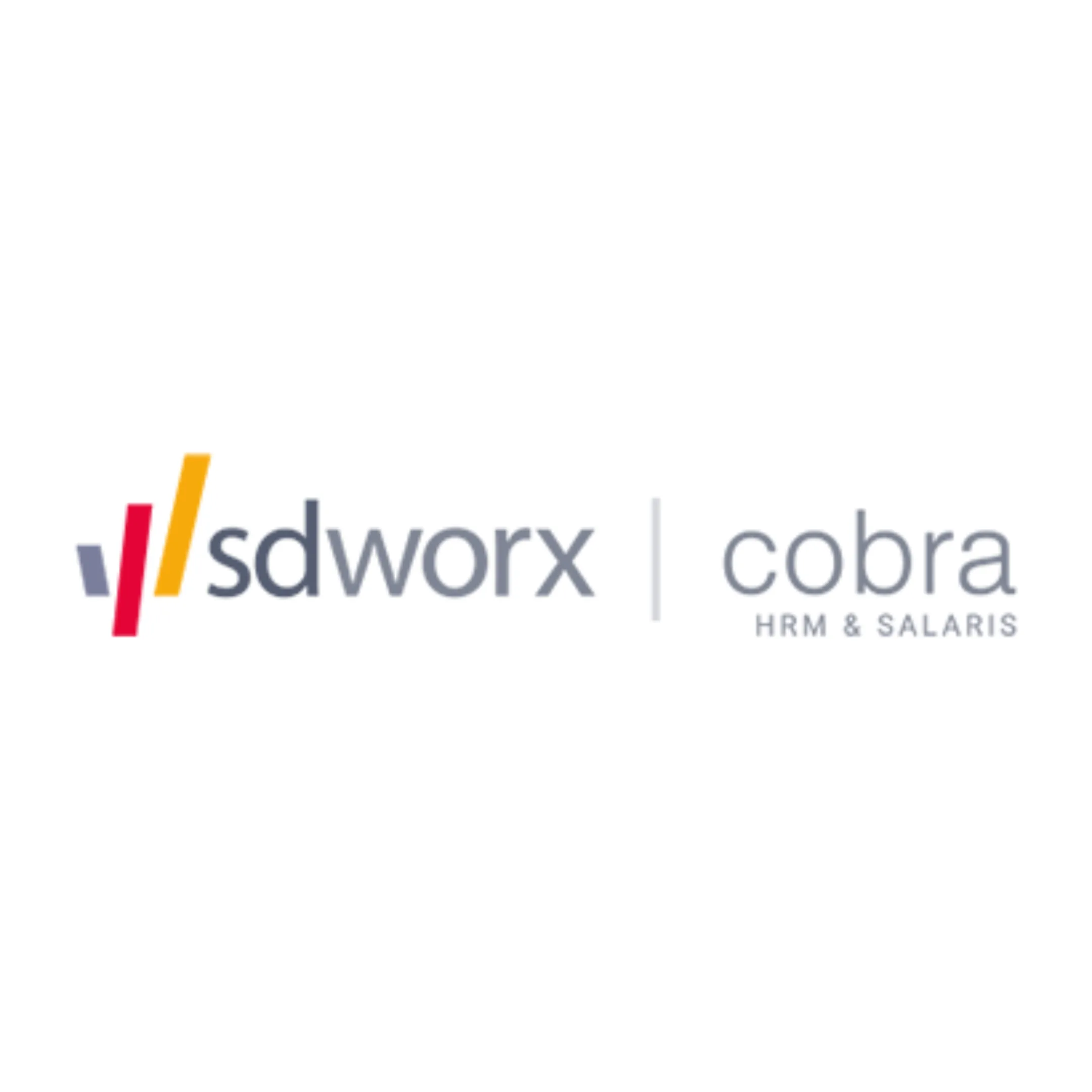 SD Worx cobra vierkant blok
