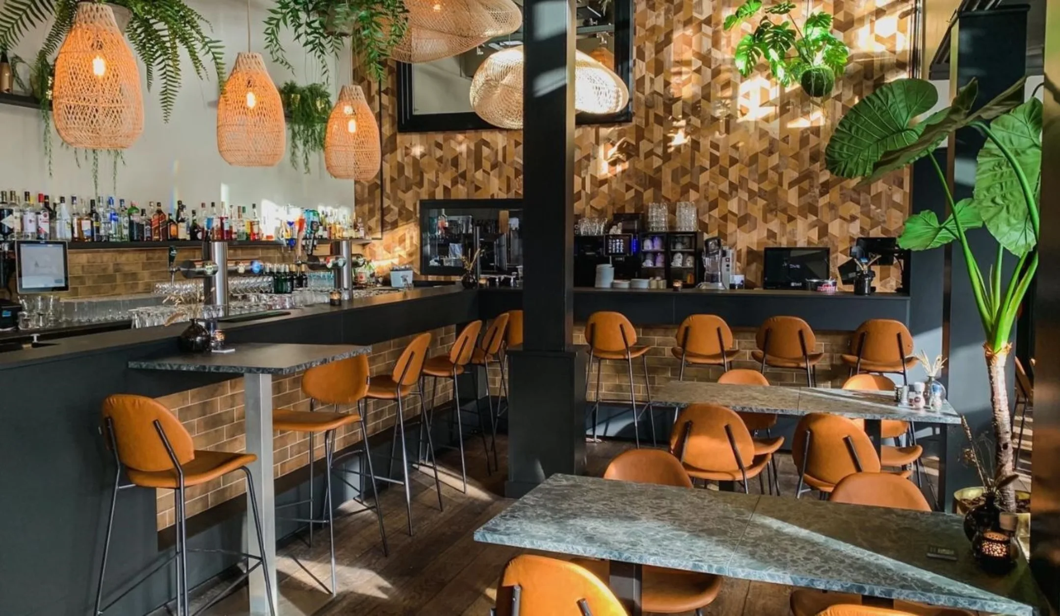 Stravinsky LOEV lessons Learned Tips Horeca